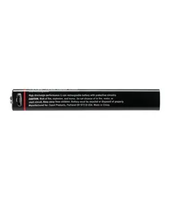 ZX555 Batteria ricaricabile Coast