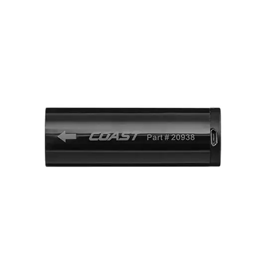 ZX950 Zithion-X batteria ricaricabile Coast