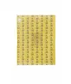 Carta moschicida (dim. 363x456 mm) Medial Insettivor Trap