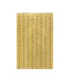 Carta moschicida (dim. 364x598 mm) Medial Insettivor Trap