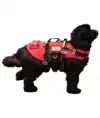 Imbracatura galleggiante per cani Alp Design AD Delphinus