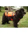 Imbracatura galleggiante per cani Alp Design AD Turtle