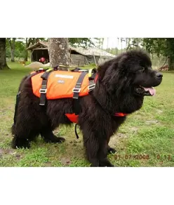 Imbracatura galleggiante per cani Alp Design AD Turtle