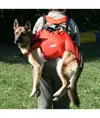 Imbracatura per cani da soccorso Alp Design AD Taxi