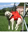 Imbracatura per cani da soccorso Alp Design AD Taxi