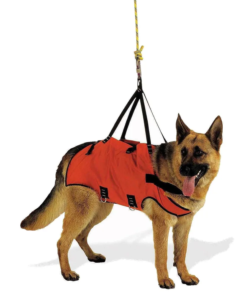Imbracatura per cani da soccorso Alp Design AD Taxi, 2 spallacci rimovibili - in 4 taglie
