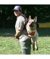 Imbracatura per cani da soccorso Alp Design AD Taxi
