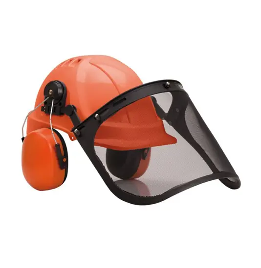 Elmetto forestale con cuffie antirumore e visiera Portwest PW98