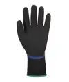 Guanti antifreddo impermeabili Portwest AP01
