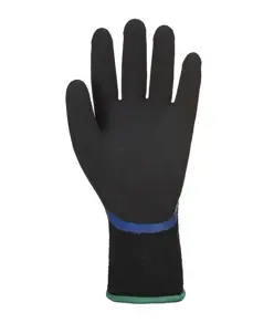 Guanti antifreddo impermeabili Portwest AP01