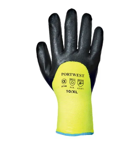 Guanti antifreddo Portwest A146 Artic