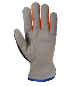 Guanti da lavoro antifreddo Portwest A280