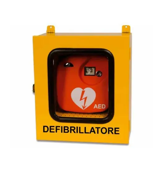 Cassetta per defibrillatore