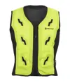 Gilet refrigerante