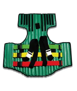 Immobilizzatore spinale