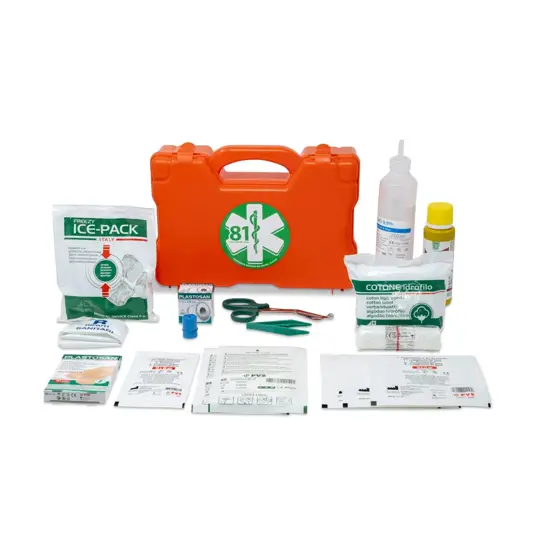 Valigetta pronto soccorso allegato 2  MEDIC 3