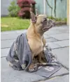 Asciugamano grande in spugna jacquard per cani Home & Living