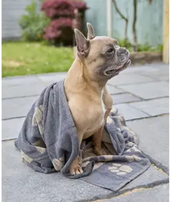 Asciugamano grande in spugna jacquard per cani Home & Living
