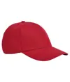 Cappellino a 5 pannelli EarthAware® classico in cotone biologico Beechfield
