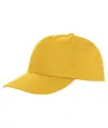 Cappellino da stampa a 5 pannelli Houston Result Headwear
