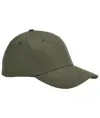 Cappellino stretch-fit in cotone biologico EarthAware® Beechfield