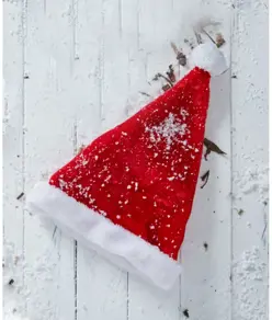 Cappello da Babbo Natale in peluche The Christmas Shop