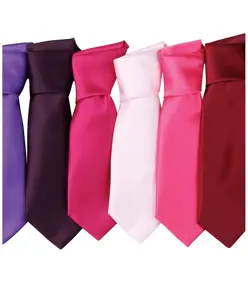 Cravatta in raso 'Colours' Premier