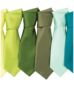 Cravatta in raso 'Colours' Premier