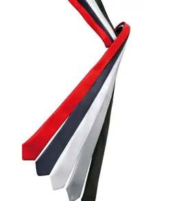 Cravatta slim Premier