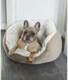 Cuccia per cani a farfalla Home & Living