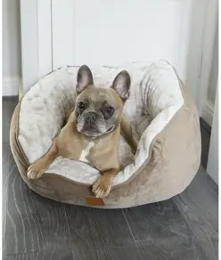 Cuccia per cani a farfalla Home & Living