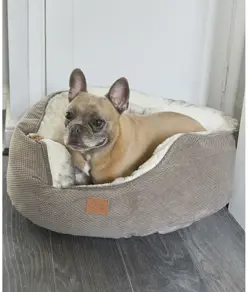 Cuccia per cani a farfalla Home & Living