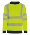 Felpa ad alta visibilità ProRTX High Visibility
