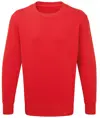 Felpa Anthem Anthem