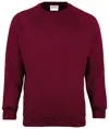 Felpa bambino Coloursure™ Maddins