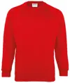 Felpa bambino Coloursure™ Maddins