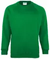 Felpa bambino Coloursure™ Maddins
