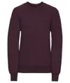 Felpa bambino con maniche raglan Russell