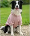 Felpa con cappuccio per cani Portman & Pooch