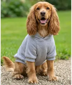 Felpa con cappuccio per cani Portman & Pooch