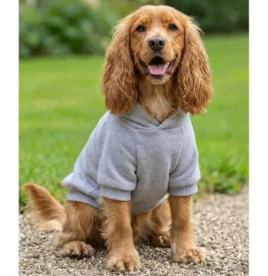 Felpa con cappuccio per cani Portman & Pooch