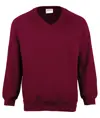 Felpa con scollo a V bambino Coloursure™ Maddins