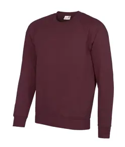 Felpa raglan Senior Academy AWDis Academy