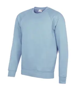 Felpa raglan Senior Academy AWDis Academy