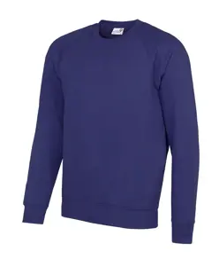 Felpa raglan Senior Academy AWDis Academy