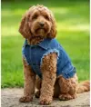 Giacca di jeans per cani Portman & Pooch