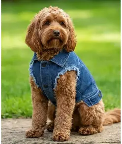 Giacca di jeans per cani Portman & Pooch