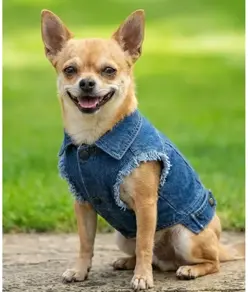 Giacca di jeans per cani Portman & Pooch