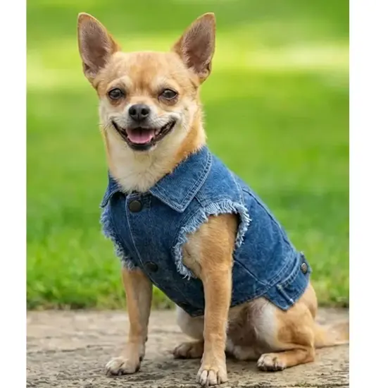 Giacca di jeans per cani Portman & Pooch