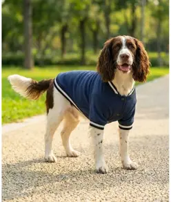Giacca varsity per cani Portman & Pooch